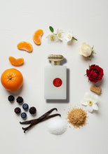 Load image into Gallery viewer, LITT flatlay
